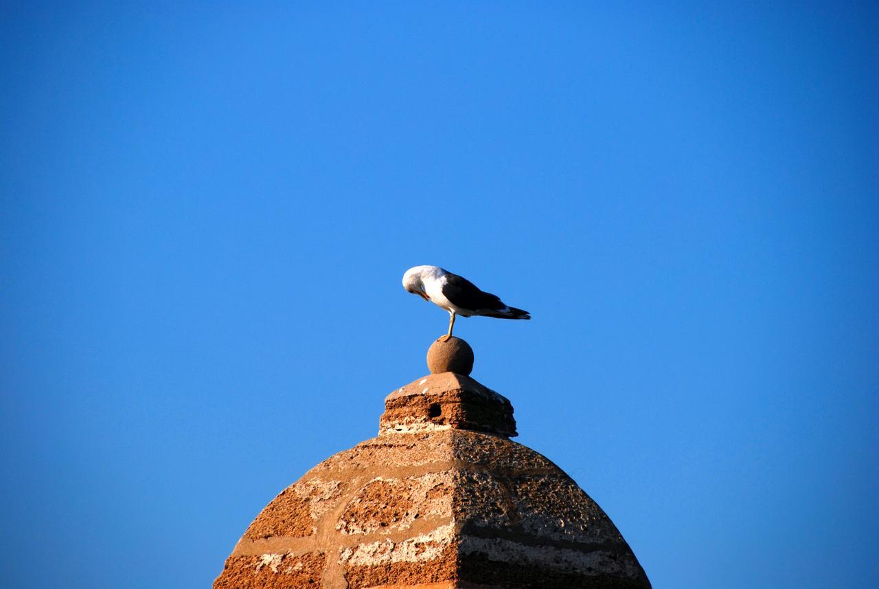 Apartamentos La Caleta de Cadiz Bagian luar foto